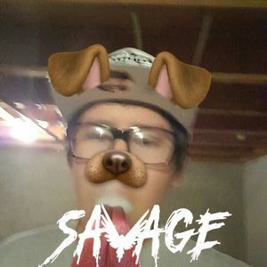 Meet your Posher, Junior